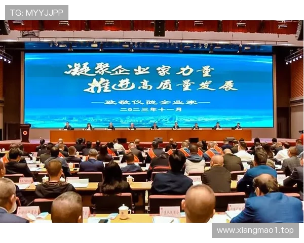 以民营企业家精神引领高质量发展推动新时代经济创新与社会进步